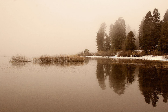 Hyatt Lake Reflections