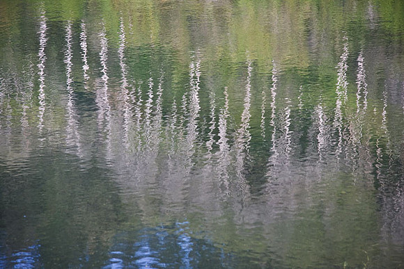 Klamath Reflection