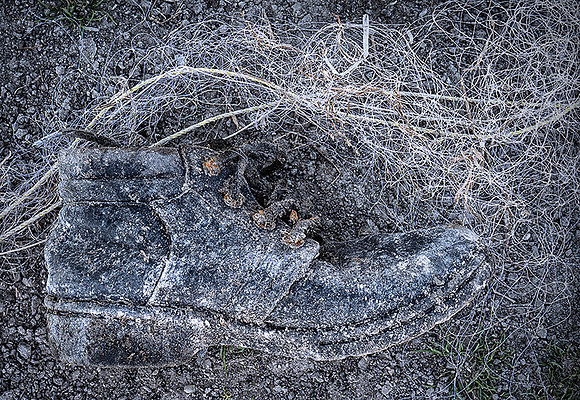 Fisherman's Shoe