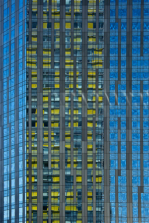 LV Reflections