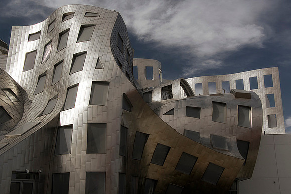Gehry Brain Center