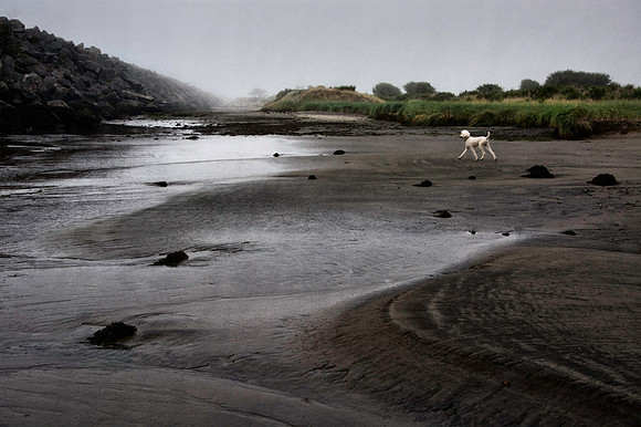 Miles at Cape Disappointment