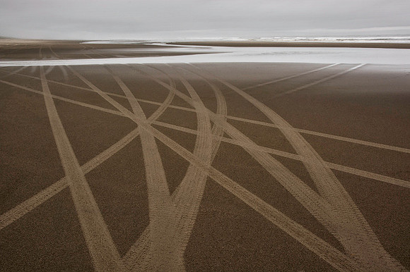 Beach Trails