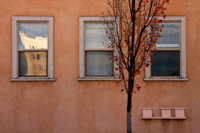 Fall Wall