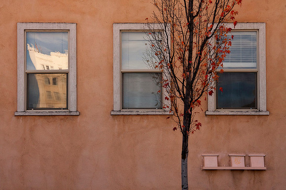 Fall Wall
