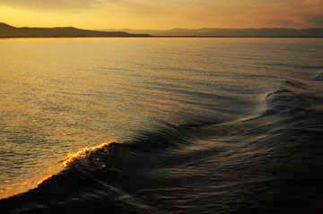 Baikal Wake