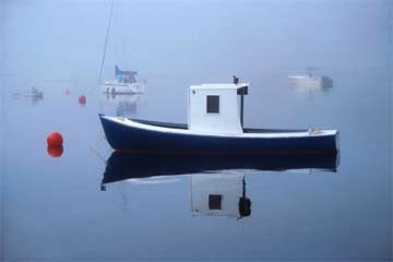 Chester Basin