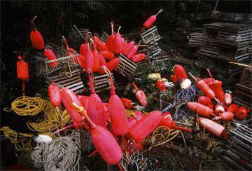 Luminescent Buoys