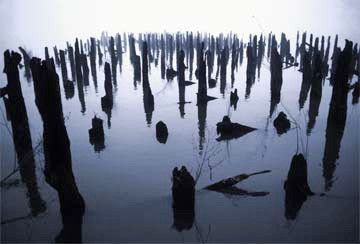 Ex Pier