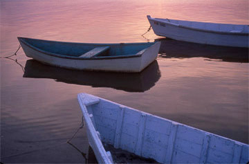 Scarborough Boats