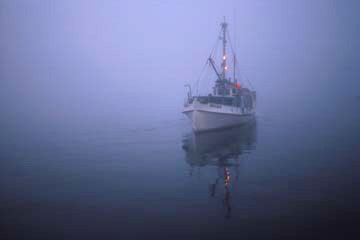 The Laura "B"