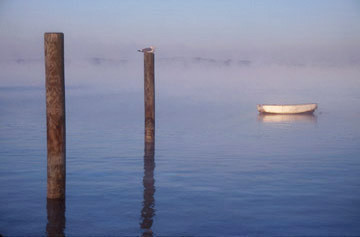 Posts and Boat in Fog