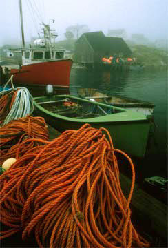 Rope Cove
