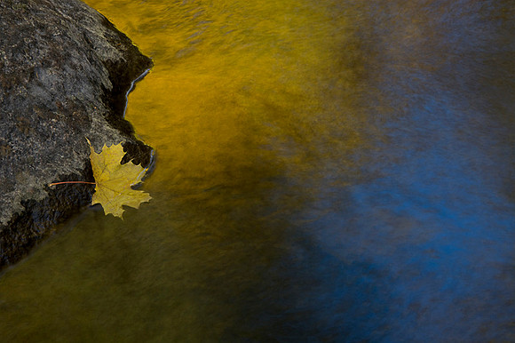 Fall Reflection - Lithia Creek