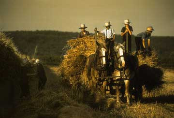 Harvesting