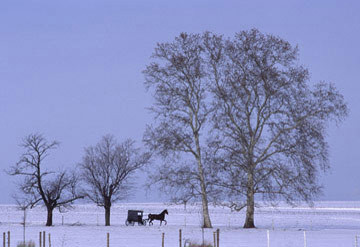 Winter Vista