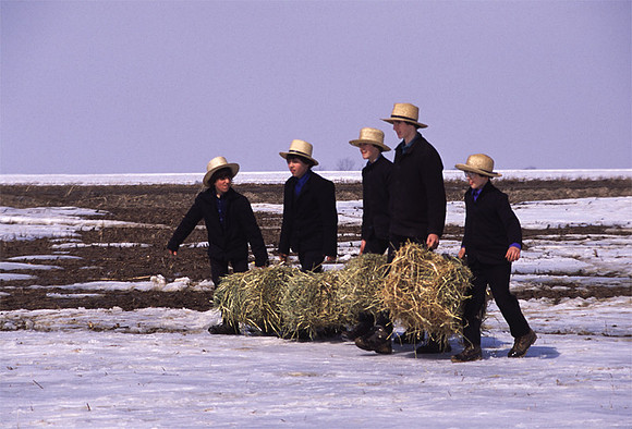 Boys Toting Hay