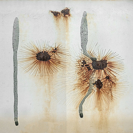 Truck Corrosion