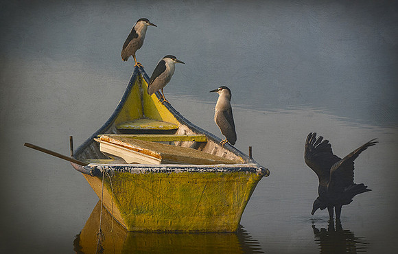 Lake Scene