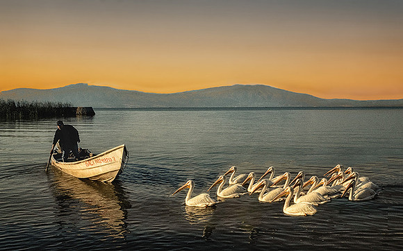 Morning on The Lake