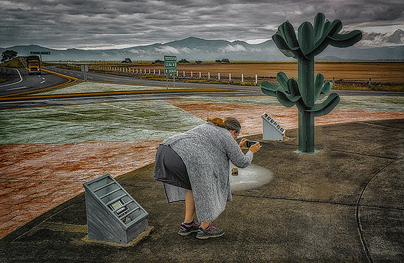 Cactus Sculpture at Sayula Basin