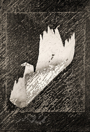 Swan Flier