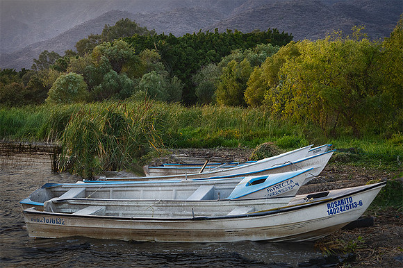 Makeshift Moorage