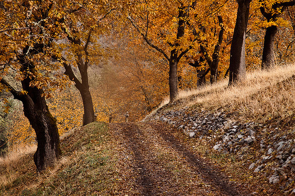 Sanctuary Path