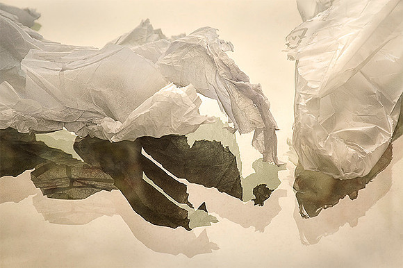 Crumpled Reflection