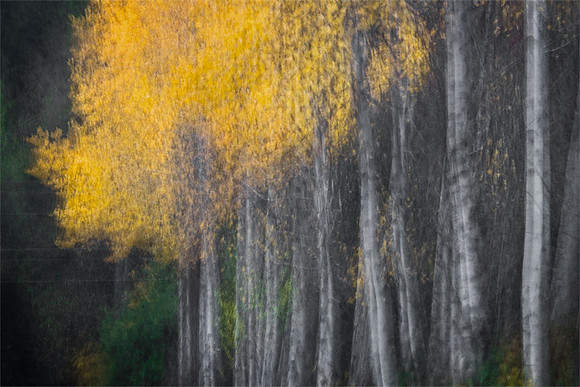Aspen Impression