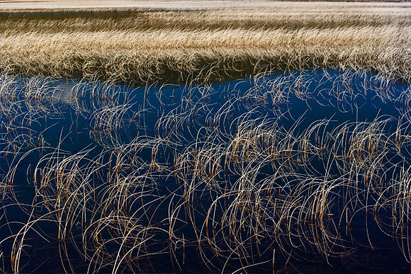 Grass Lake