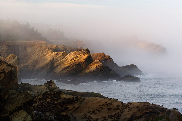 Foggy Cliffs