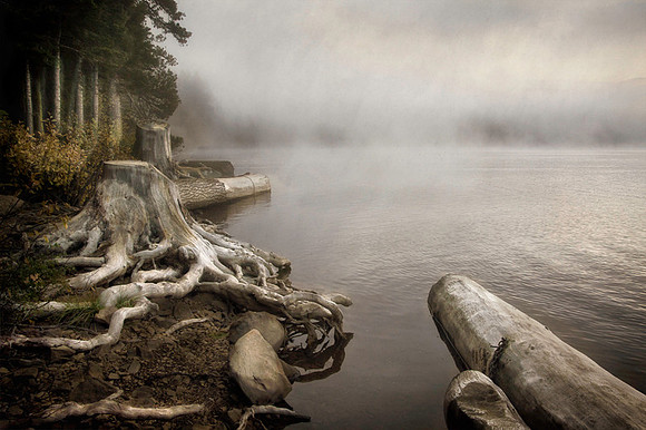 Lake of The Woods