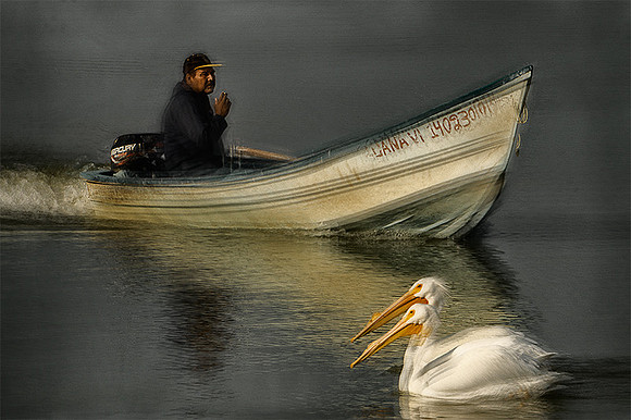 Bringing in The Catch