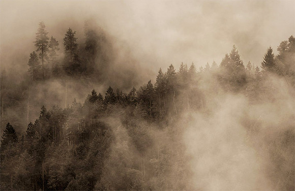 Fogged Mountainside