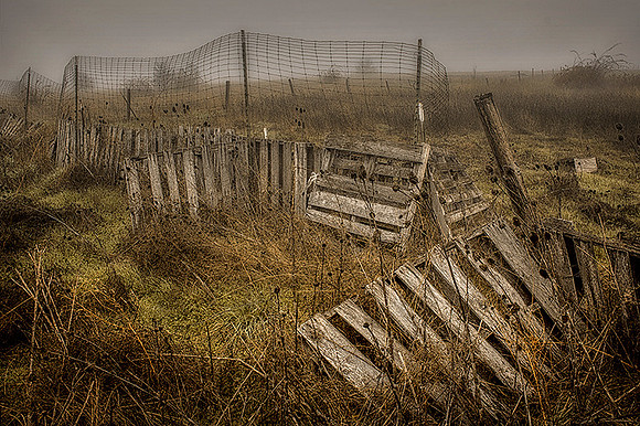 Rickety Fence